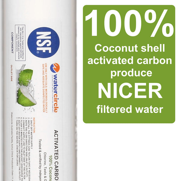 10" Carbon Inline water filter with garden hose quick connector NSF approved
